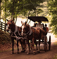 Homestead Carriage Ride